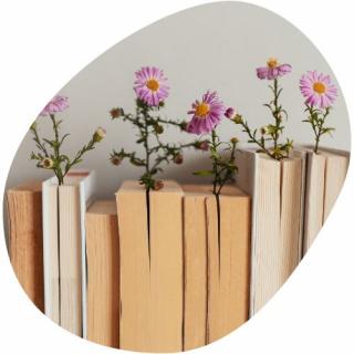 Am Bild sind aufgestellt Bücher zu sehen. In ihnen stecken lilafarbene Blumen.

© Canva: ZM von ZM 